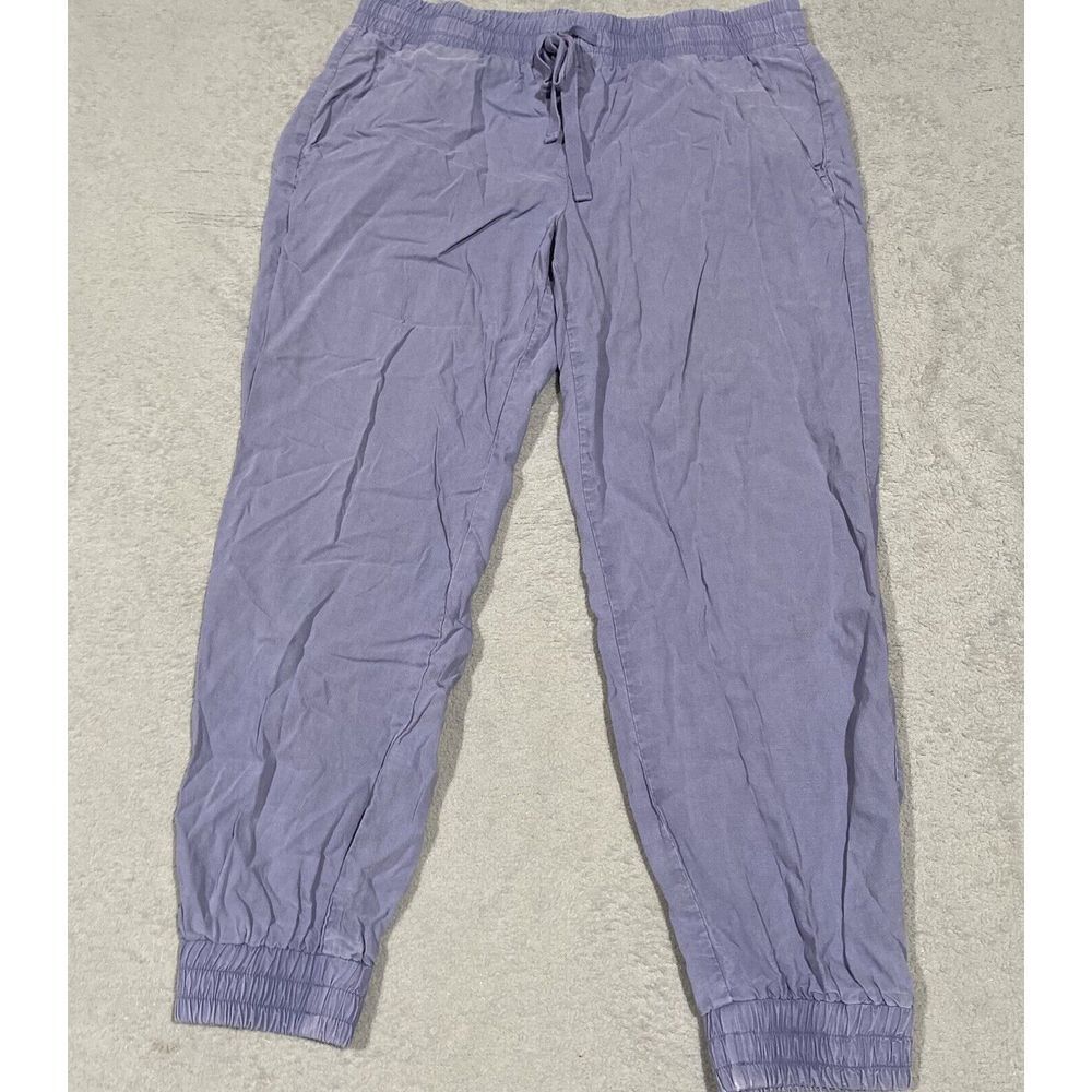 Anthropologie Cloth & Stone Pants Size S Dusty Blue Chambray Tencel Jogger